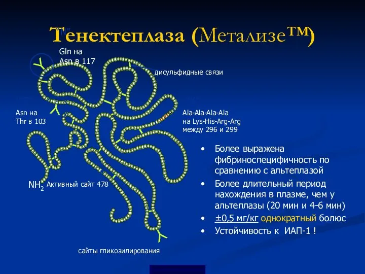 Y Y Y Тенектеплаза (Метализе™) Ala-Ala-Ala-Ala на Lys-His-Arg-Arg между 296 и