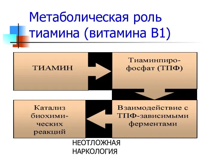 НЕОТЛОЖНАЯ НАРКОЛОГИЯ Метаболическая роль тиамина (витамина В1)