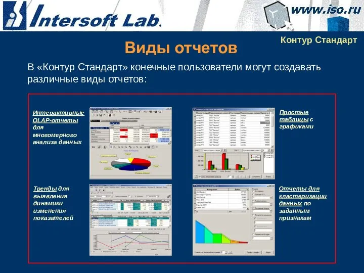 Виды отчетов Контур Стандарт В «Контур Стандарт» конечные пользователи могут создавать