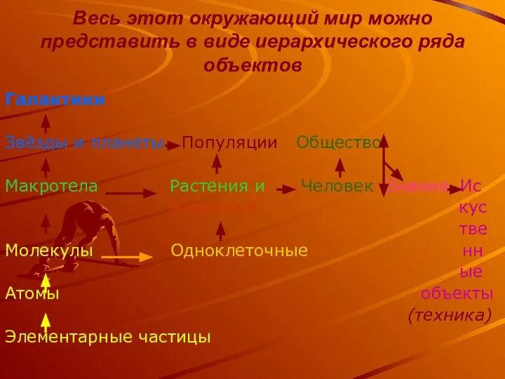 Весь этот окружающий мир можно представить в виде иерархического ряда объектов