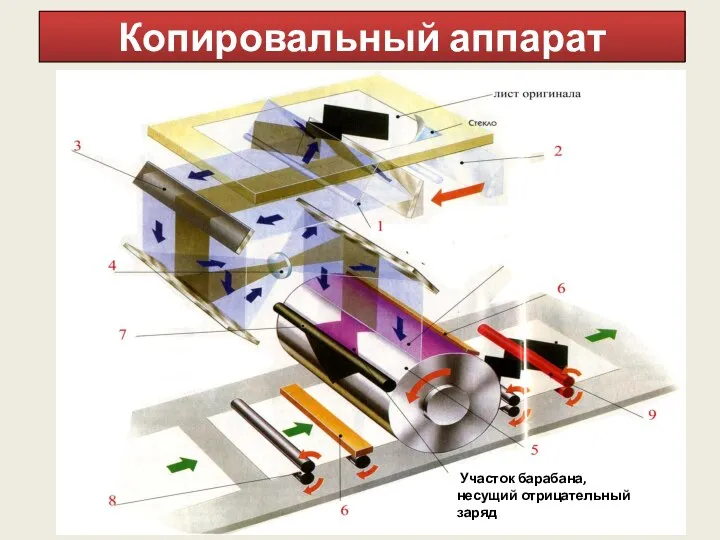 Копировальный аппарат Участок барабана, несущий отрицательный заряд