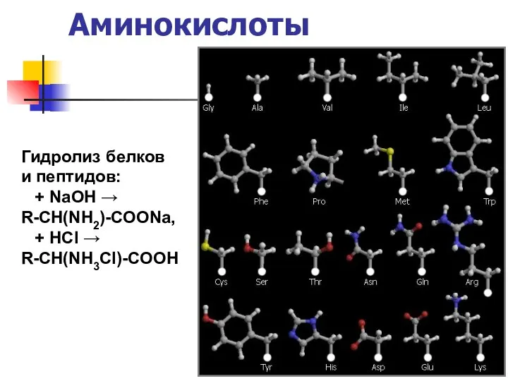 Аминокислоты Гидролиз белков и пептидов: + NaOH → R-CH(NH2)-COONa, + HCl → R-CH(NH3Cl)-COOH