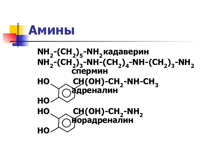 NH2-(CH2)5-NH2 кадаверин NH2-(CH2)3-NH-(CH2)4-NH-(CH2)3-NH2 спермин НО СН(ОН)-СН2-NH-CH3 адреналин НО НО СН(ОН)-СН2-NH2 норадреналин НО Амины