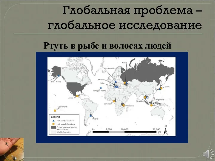 Глобальная проблема – глобальное исследование Ртуть в рыбе и волосах людей