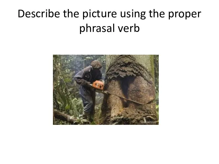 Describe the picture using the proper phrasal verb