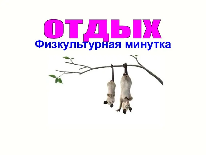 Физкультурная минутка отдых