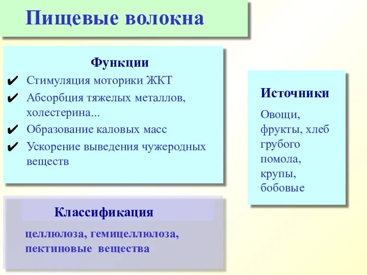 Функции Стимуляция моторики ЖКТ Абсорбция тяжелых металлов, холестерина... Образование каловых масс