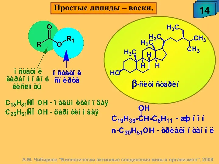 14 Простые липиды – воски. А.М. Чибиряев "Биологически активные соединения живых организмов", 2009