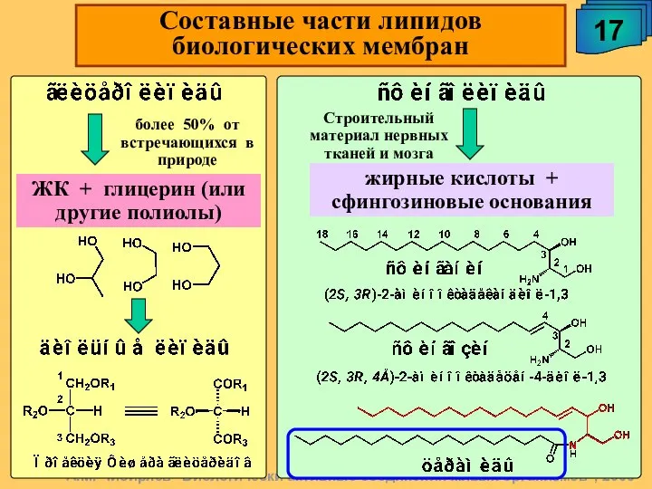 А.М. Чибиряев "Биологически активные соединения живых организмов", 2009 17 Составные части липидов биологических мембран