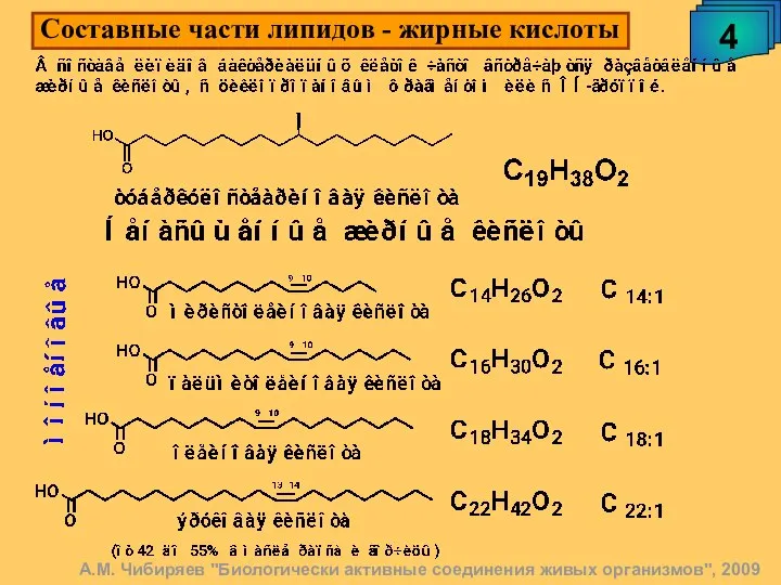 Составные части липидов - жирные кислоты А.М. Чибиряев "Биологически активные соединения живых организмов", 2009 4