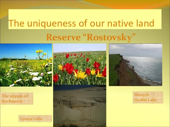 The uniqueness of our native land Reserve “Rostovsky” The steppes of