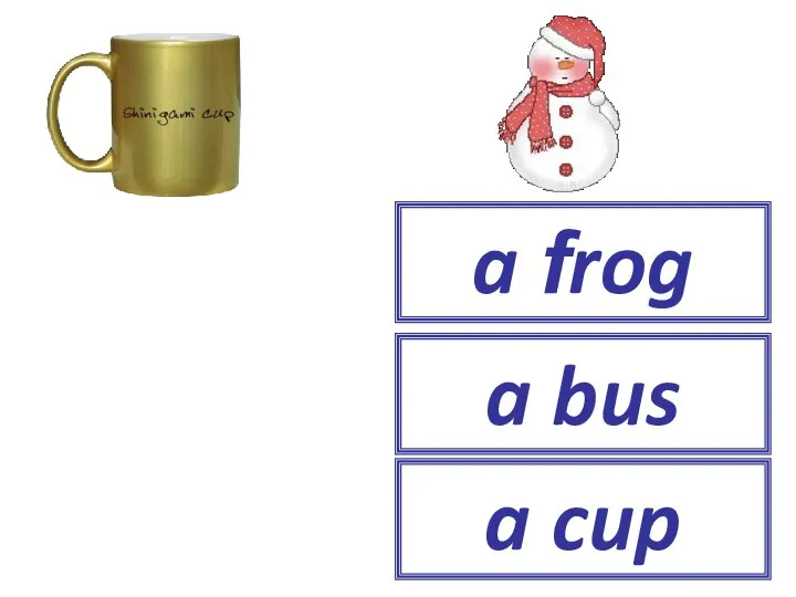 a frog a bus a cup