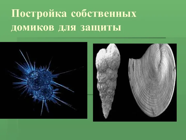 Постройка собственных домиков для защиты