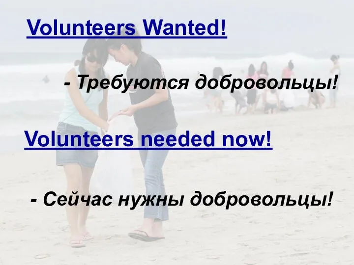 - Требуются добровольцы! Volunteers Wanted! Volunteers needed now! - Сейчас нужны добровольцы!