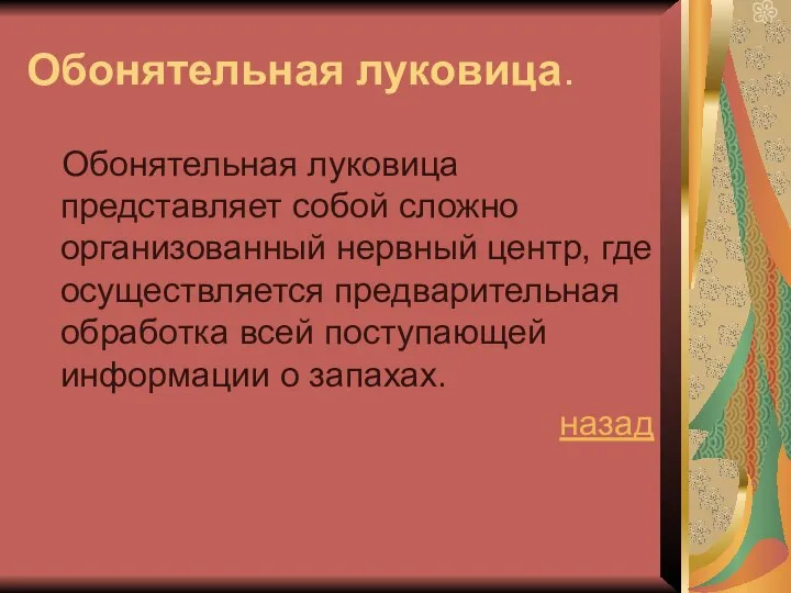 Обонятельная луковица. Обонятельная луковица представляет собой сложно организованный нервный центр, где