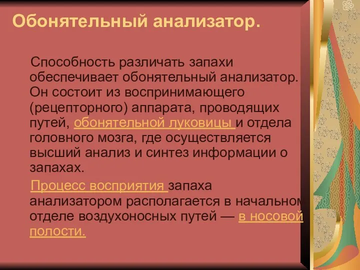 Обонятельный анализатор. Способность различать запахи обеспечивает обонятельный анализатор. Он состоит из