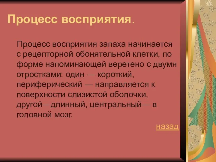 Процесс восприятия. Процесс восприятия запаха начинается с рецепторной обонятельной клетки, по