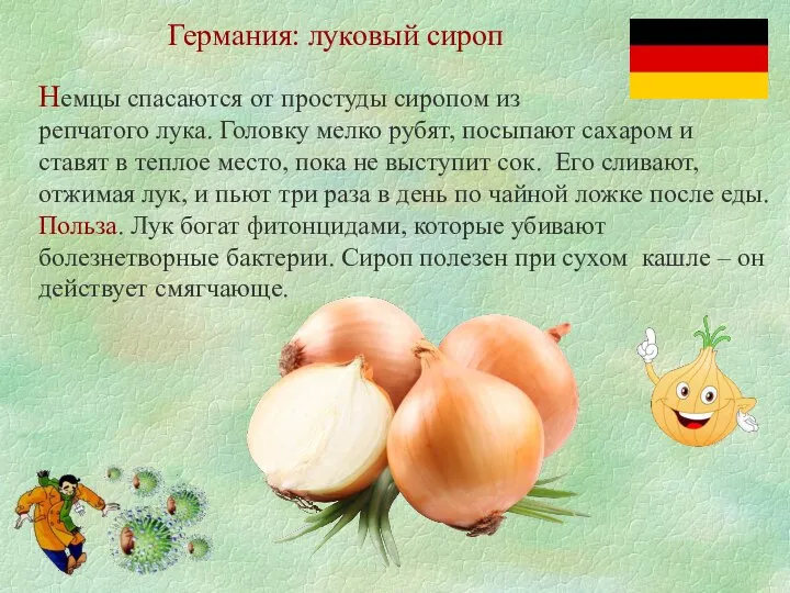 Германия: луковый сироп Немцы спасаются от простуды сиропом из репчатого лука.