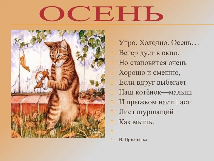 ОСЕНЬ Утро. Холодно. Осень… Ветер дует в окно. Но становится очень