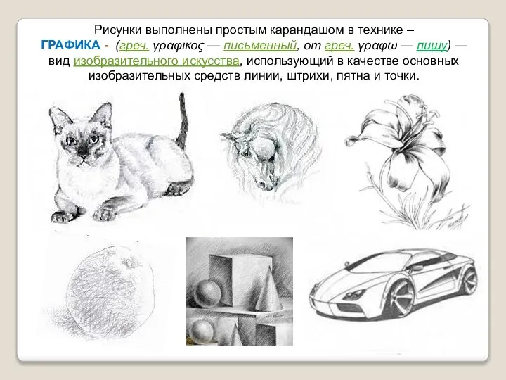 Рисунки выполнены простым карандашом в технике – ГРАФИКА - (греч. γραφικος