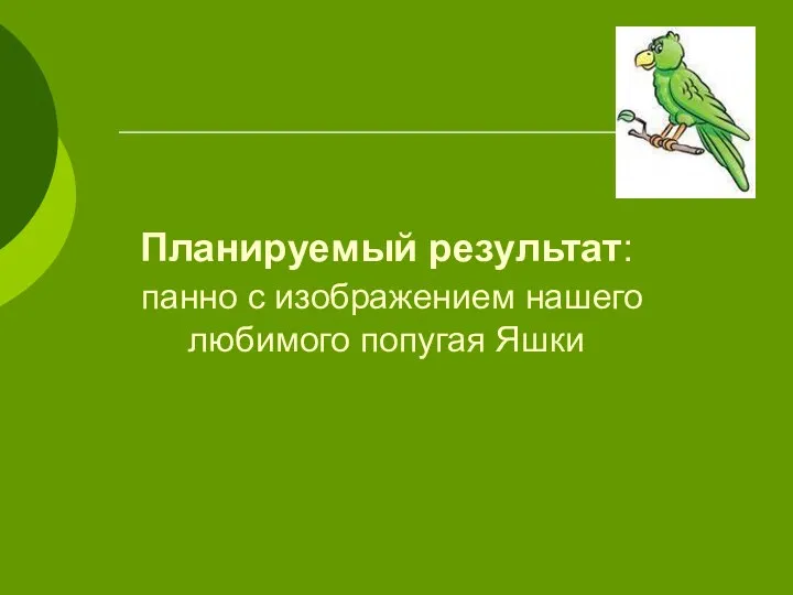 Планируемый результат: панно с изображением нашего любимого попугая Яшки