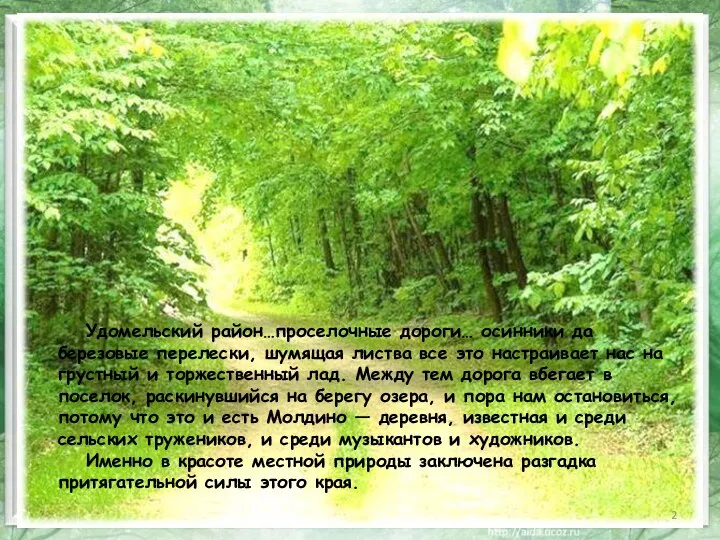 Удомельский район…проселочные дороги… осинники да березовые перелески, шумящая листва все это