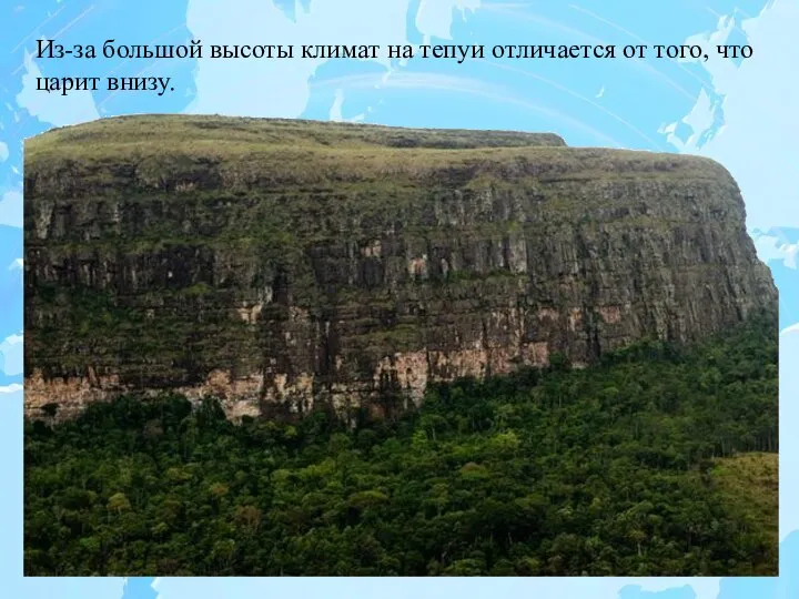 Из-за большой высоты климат на тепуи отличается от того, что царит внизу.