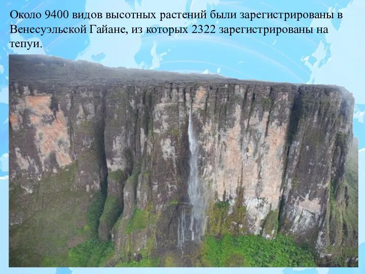 Около 9400 видов высотных растений были зарегистрированы в Венесуэльской Гайане, из которых 2322 зарегистрированы на тепуи.