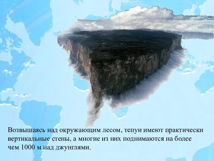 Возвышаясь над окружающим лесом, тепуи имеют практически вертикальные стены, а многие