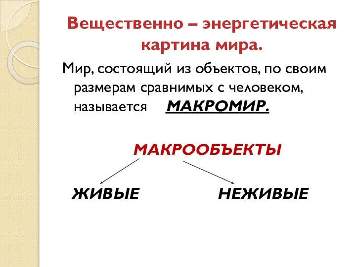 Вещественно – энергетическая картина мира. Мир, состоящий из объектов, по своим