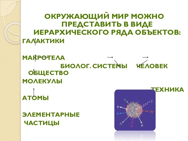 Окружающий мир можно представить в виде иерархического ряда объектов: Галактики Макротела