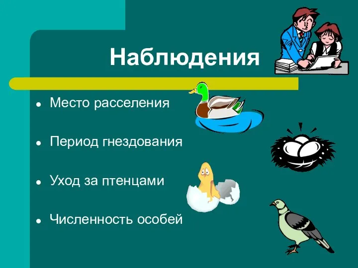 Наблюдения Место расселения Период гнездования Уход за птенцами Численность особей