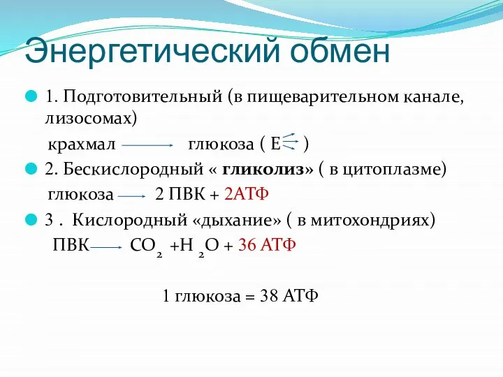 Энергетический обмен 1. Подготовительный (в пищеварительном канале, лизосомах) крахмал глюкоза (