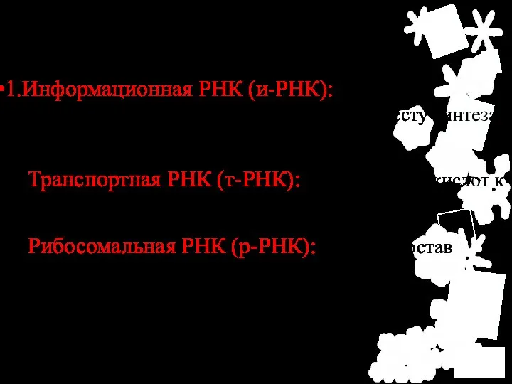 Виды РНК 1.Информационная РНК (и-РНК): перенос информации из ядра в цитоплазму