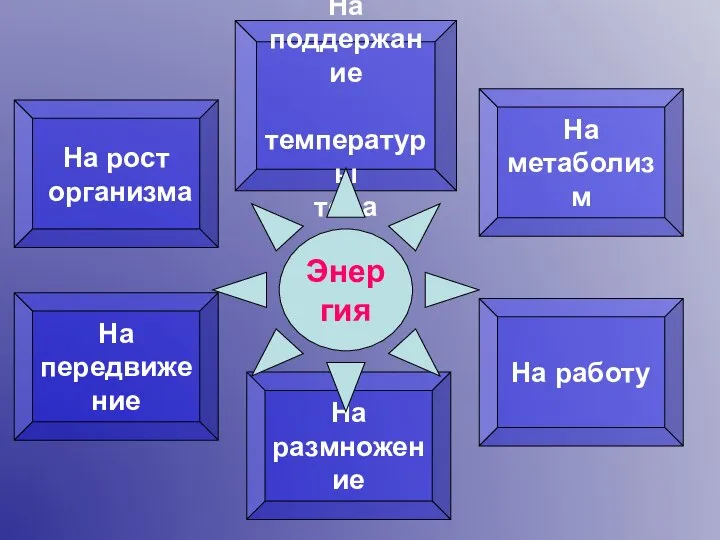 На рост организма На поддержание температуры тела На метаболизм На работу На размножение На передвижение Энергия