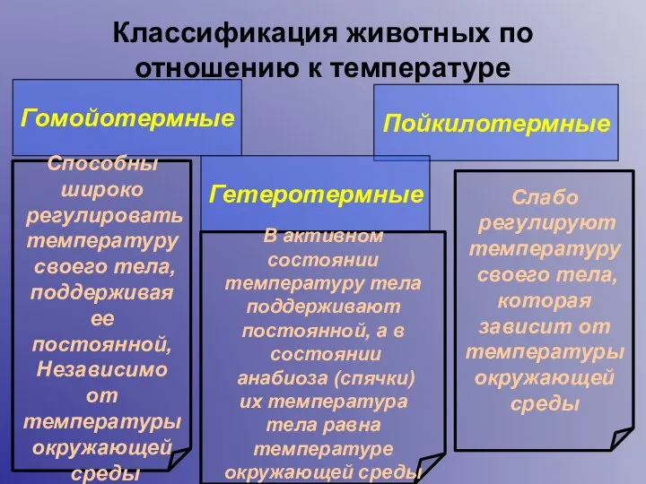 Классификация животных по отношению к температуре Гомойотермные Пойкилотермные Гетеротермные Способны широко