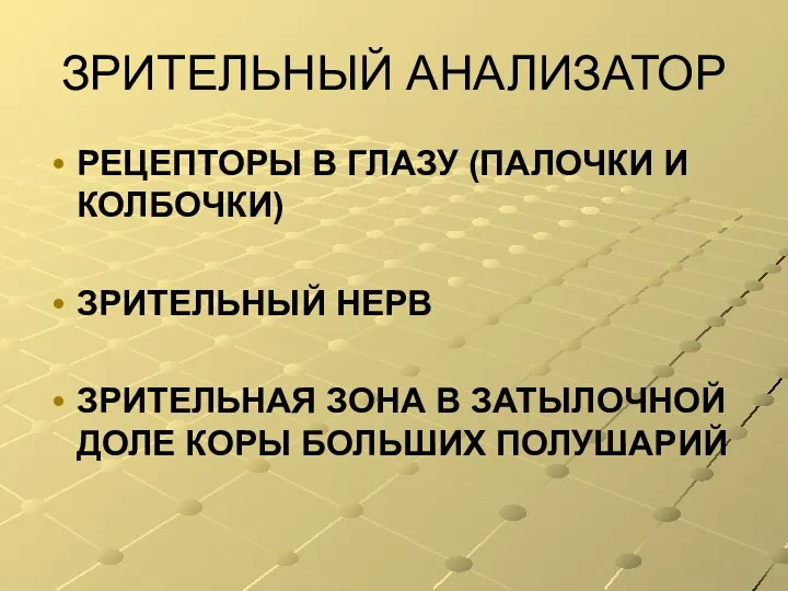 ЗРИТЕЛЬНЫЙ АНАЛИЗАТОР РЕЦЕПТОРЫ В ГЛАЗУ (ПАЛОЧКИ И КОЛБОЧКИ) ЗРИТЕЛЬНЫЙ НЕРВ ЗРИТЕЛЬНАЯ