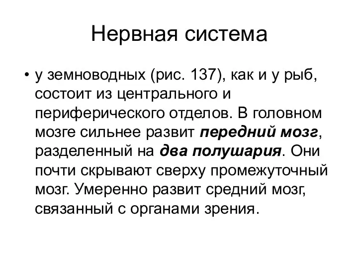 Нервная система у земноводных (рис. 137), как и у рыб, состоит