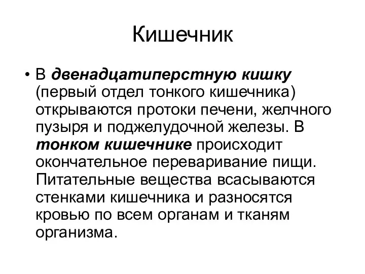 Кишечник В двенадцатиперстную кишку (первый отдел тонкого кишечника) открываются протоки печени,