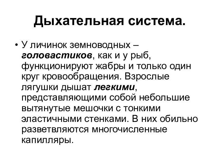 Дыхательная система. У личинок земноводных – головастиков, как и у рыб,