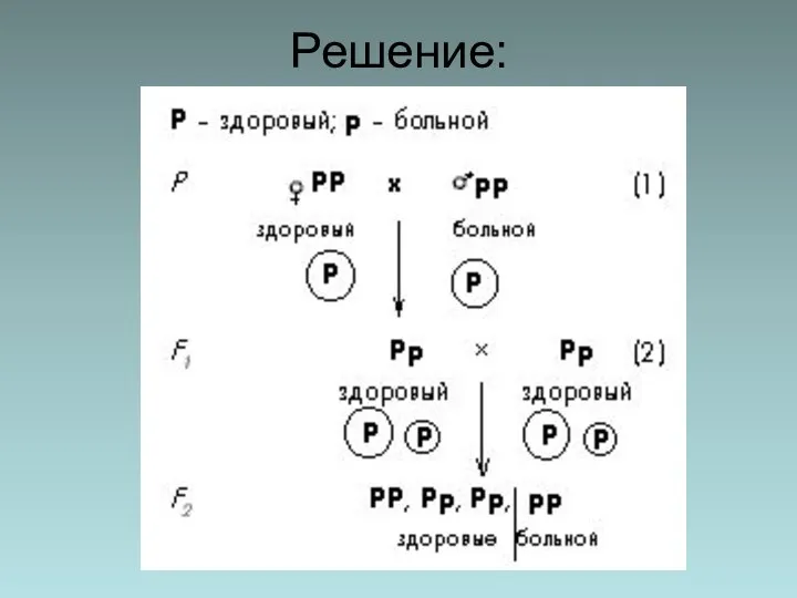 Решение: