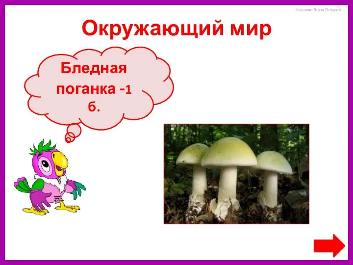Какой гриб является самым ядовитым? Бледная поганка -1 б. Окружающий мир