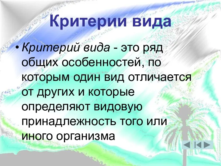 Критерии вида Критерий вида - это ряд общих особенностей, по которым