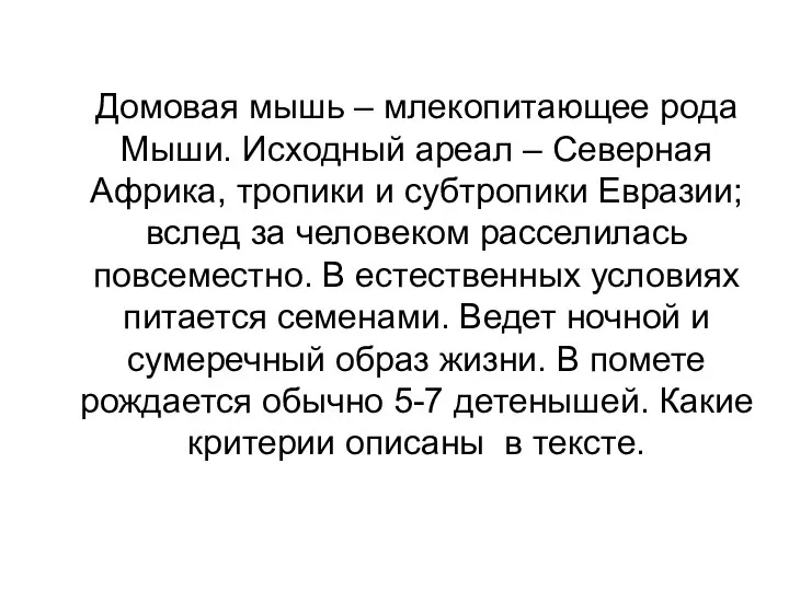 Домовая мышь – млекопитающее рода Мыши. Исходный ареал – Северная Африка,