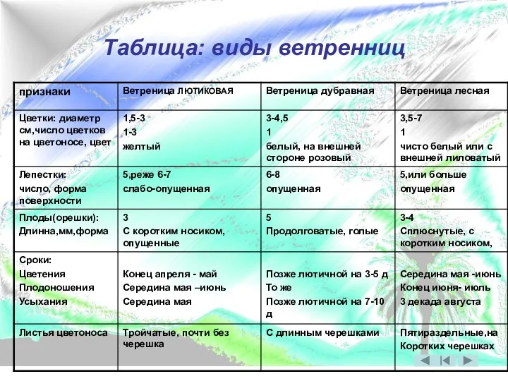 Таблица: виды ветренниц