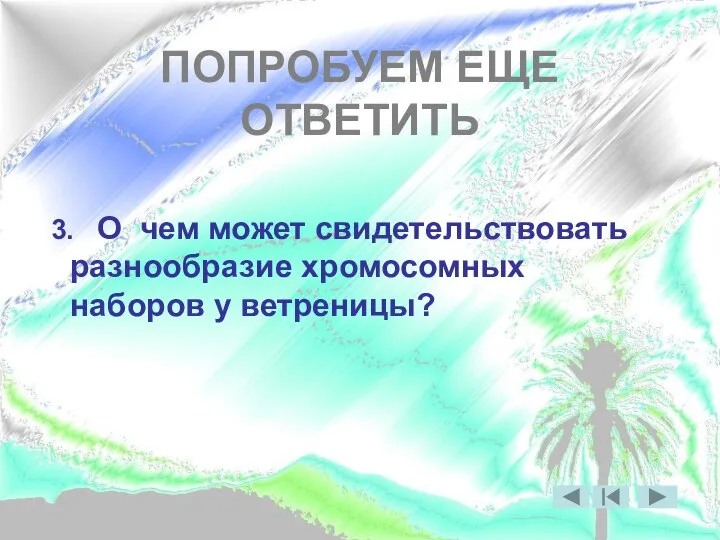 ПОПРОБУЕМ ЕЩЕ ОТВЕТИТЬ 3. О чем может свидетельствовать разнообразие хромосомных наборов у ветреницы?