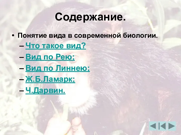 Содержание. Понятие вида в современной биологии. Что такое вид? Вид по