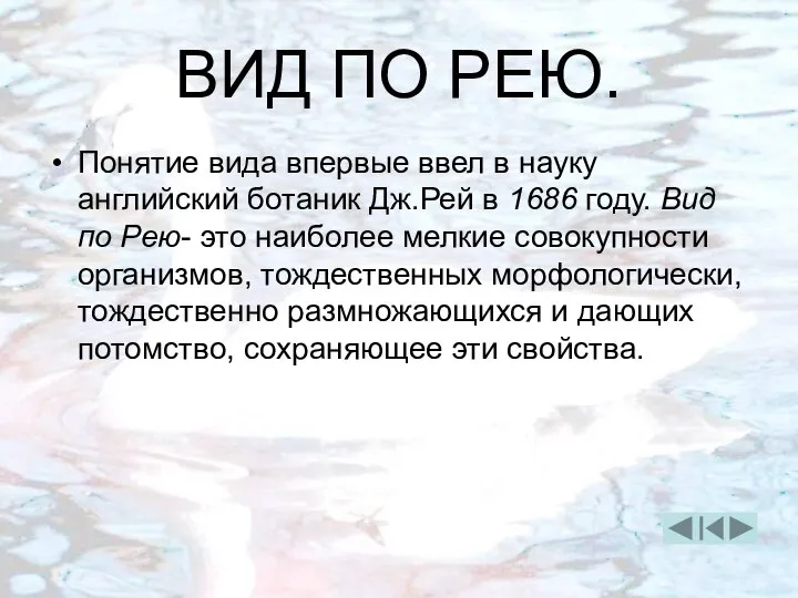 ВИД ПО РЕЮ. Понятие вида впервые ввел в науку английский ботаник