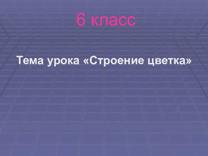 6 класс Тема урока «Строение цветка»