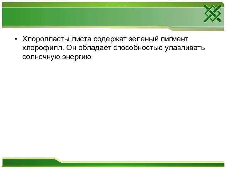 Хлоропласты листа содержат зеленый пигмент хлорофилл. Он обладает способностью улавливать солнечную энергию